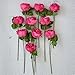 Butterfly Craze Artificial Peony Silk Flower Bouquet for Wedding Floral Arrangements and Home Decoration - Fushia Red Color, 10 Stem Per Set