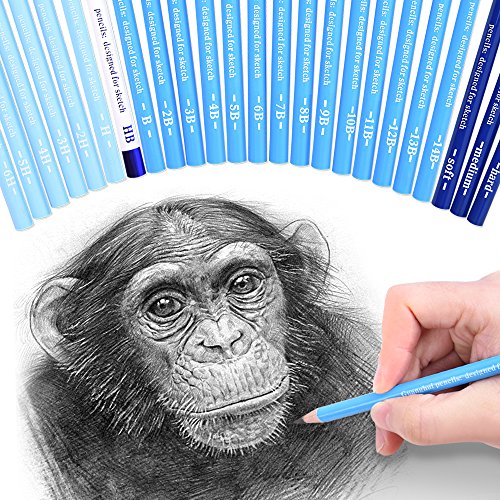 24 Sketch Pencils - Professional Art Sketching Pencils Travel Set Artists Drawing Kit Graphite & Charcoal Pencils For Adults & Kids Sketching Drawing Shading