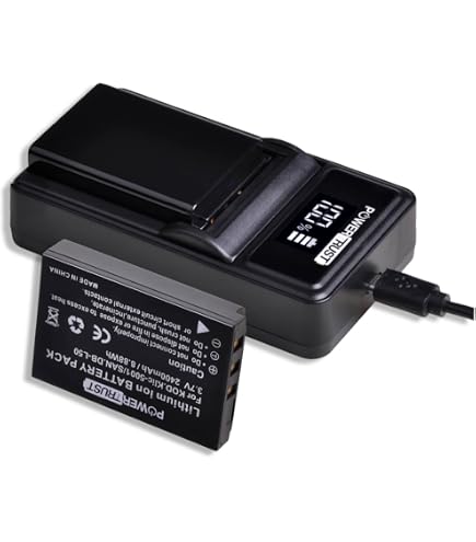 Amazon.com : LCD USB Travel Battery Charger for Sanyo Xacti VPC