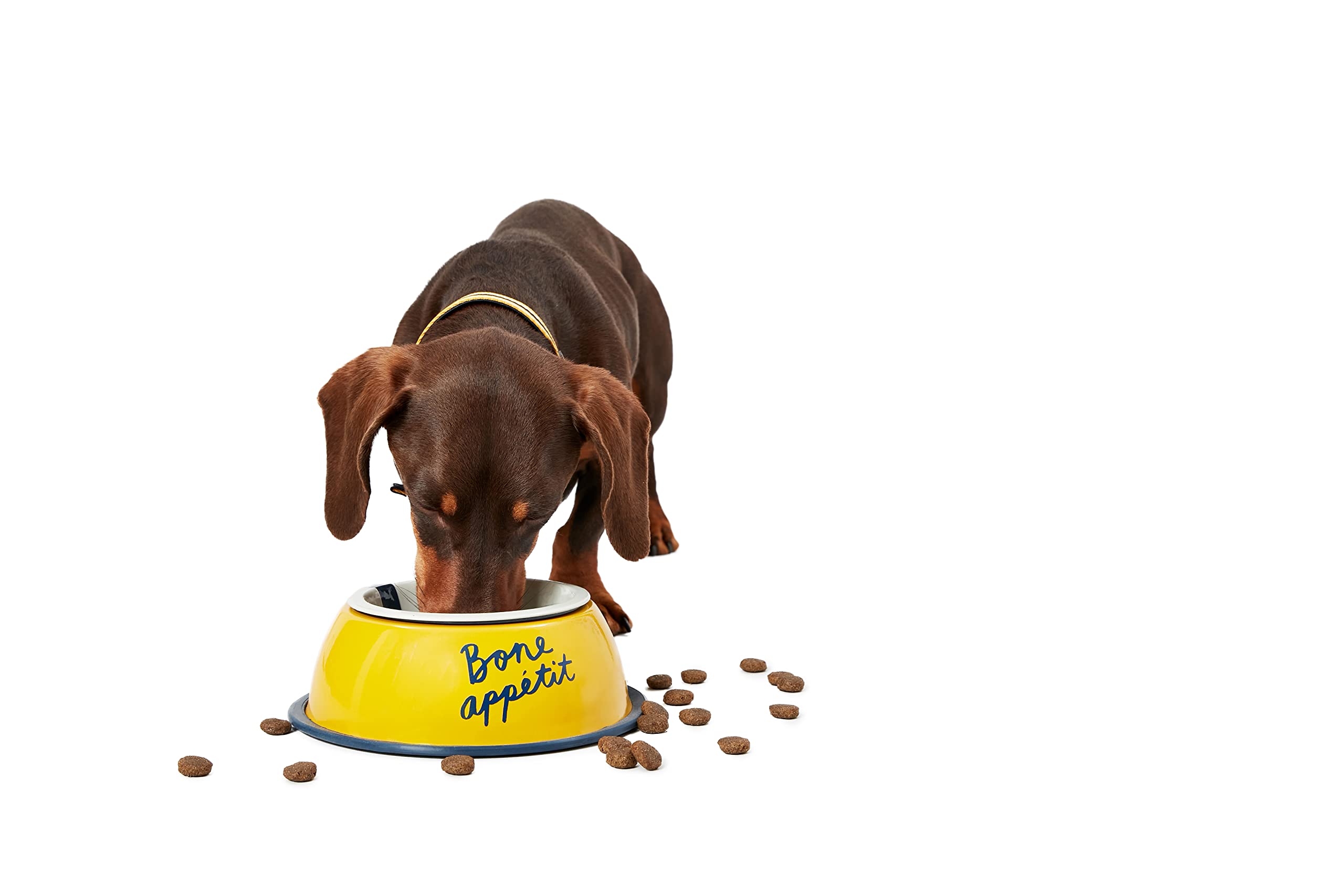 Rosewood Joules "Bone Appetite" Dog Bowl