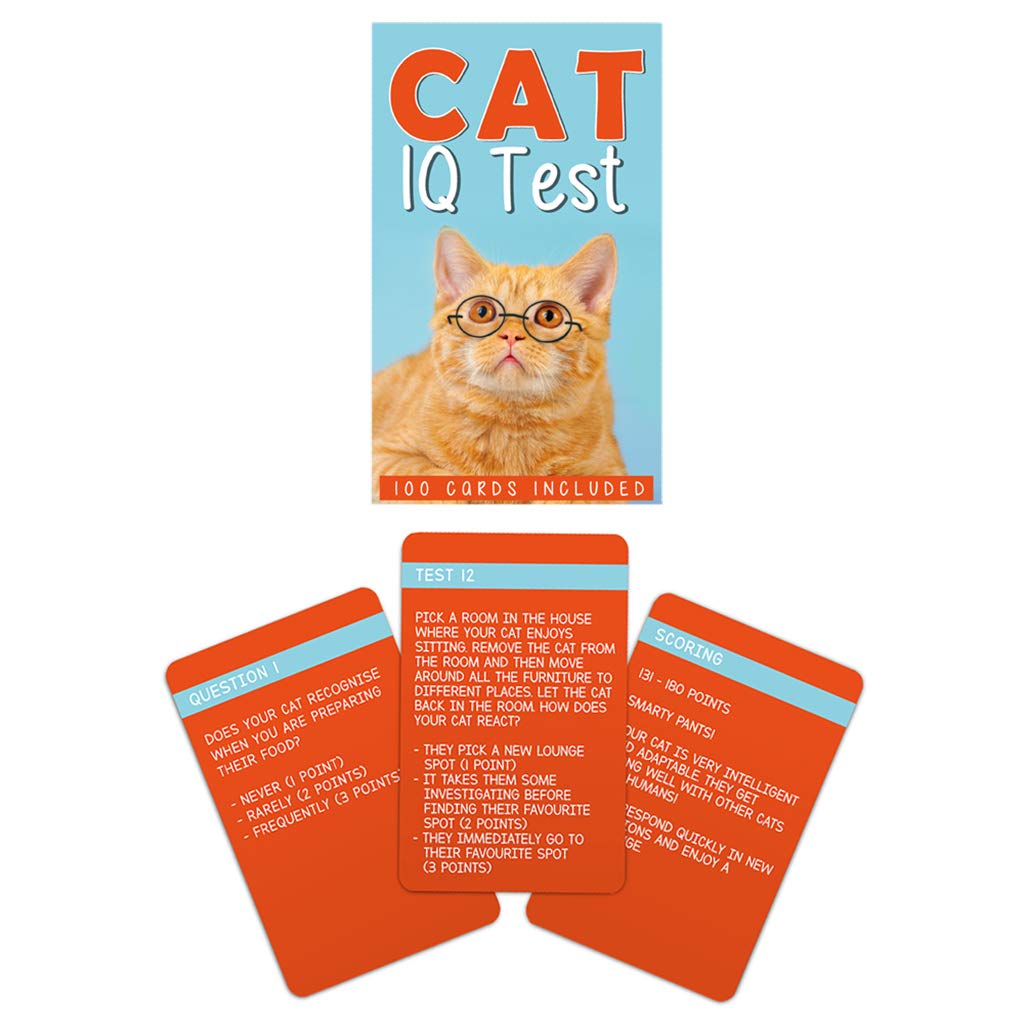 Cat IQ Test