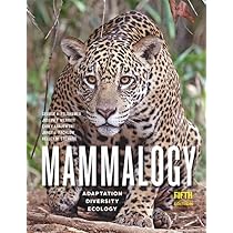 Ecology: Bowman, William, Hacker, Sally: 9780197614044: Books