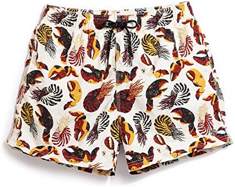 ZADAFul Men Beach Shorts Casual Swimwear Swimsuits H892 M
