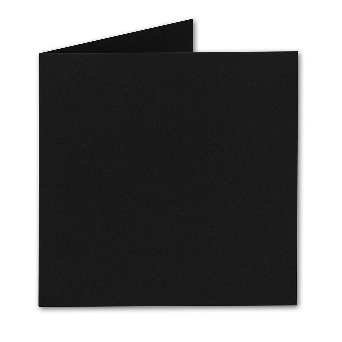 Neuser colourful place cards, 100 x 45 mm, from the FarbenFroh Collection 25 Stück 39 - Schwarz