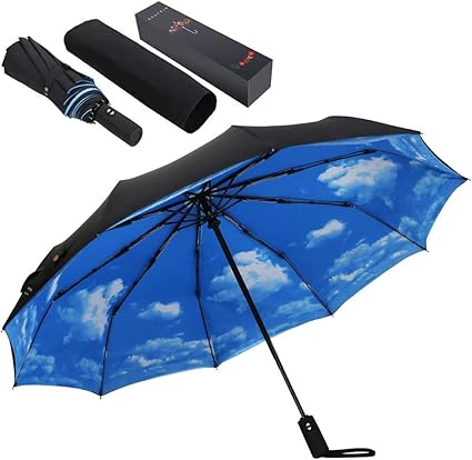 windproof umbrella reviews