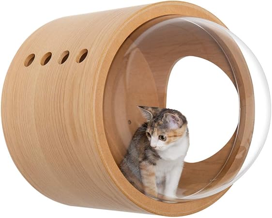 wall mounted cat perch