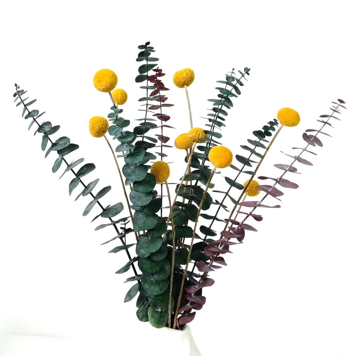 DongArts Dried Real Natural Craspedia Yellow Billy Boll with Preserved Eucalypthus Branch Leaves Decorative Flower Bouquet Centerpieces Home Office Wedding Decor