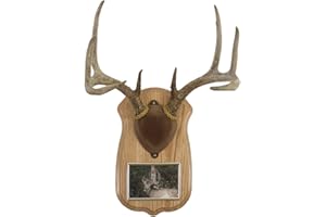 Walnut Hollow Country Deluxe Antler Display Kit with Photo Frame, Oak,Gray