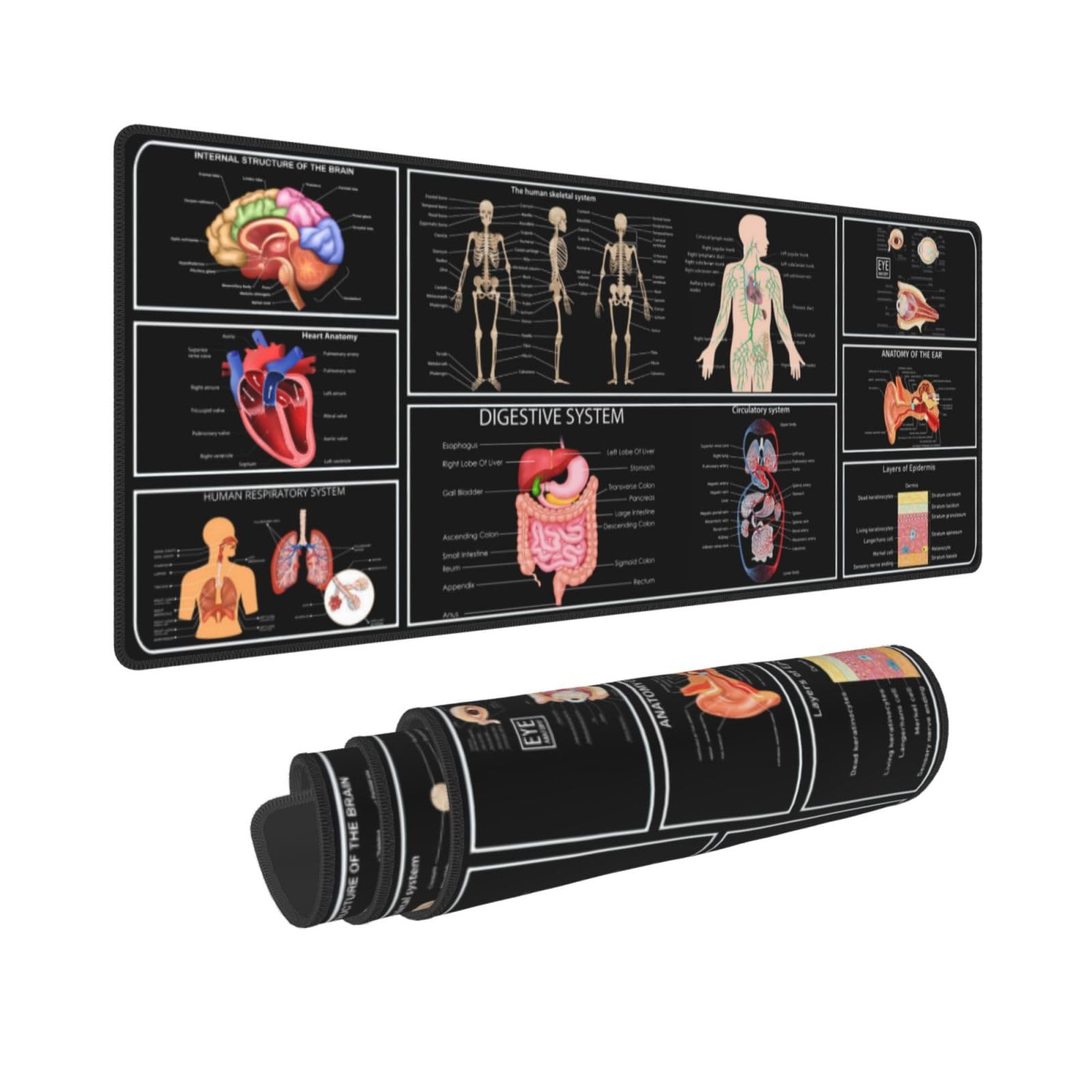 Photo 1 of Medical Anatomy Human Physiology Medicine Doctor Assistant Anatomy Model Physiology Gaming Keyboard Mouse Pad Mousepad Desk Mat Huge Extended Xl Stitched Edge Rubber Sole For Home Office(31.5"X 11.8")
