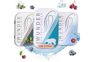 PERFEKTO24 Wunders Toothpick – 3 Refreshing Varieties 'Fresh Pack' – Toothpick with Taste – Tasty Toothpicks