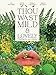 Thou Wast Mild and Lovely