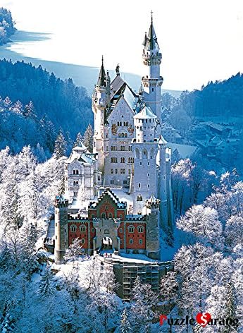 Amazon Com Neuschwanstein Castle Winter In Germany 500 Piece Jigsaw Puzzle Pouch Included Toys Games