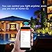 Smart Wifi Bulb, Work with Alexa and Google Assistant, App Controlled Dimmable, Color Changing(16 Million Color Light Beads), Wake Up, Lights - 6W(60 Watts Equivalent) E26/E27 - NO Hub Required