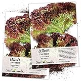 Seed Needs, Lollo Rosso Lettuce