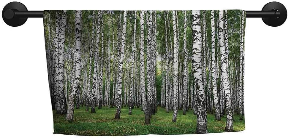 ZSUO Bathroom Towel W 28 x L 14(inch) Small Towel,Farm House Decor Collection,Autumn Trees in Birch Forest September Time View Picture,Green Grey
