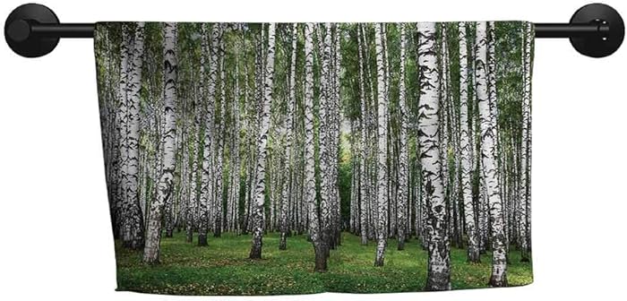ZSUO Bathroom Towel W 28 x L 14（inch） Small Towel,Farm House Decor Collection,Autumn Trees in Birch Forest September Time View Picture,Green Grey
