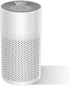THE THREE MUSKETEERS III M Mini Portable Air Purifier for Home Bedroom Office Desktop Pet Room Air Cleaner for Car with True HEPA Filters and Silence