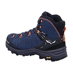 Salewa Men's Alp Trainer 2 Mid Gore-Tex Waterproof