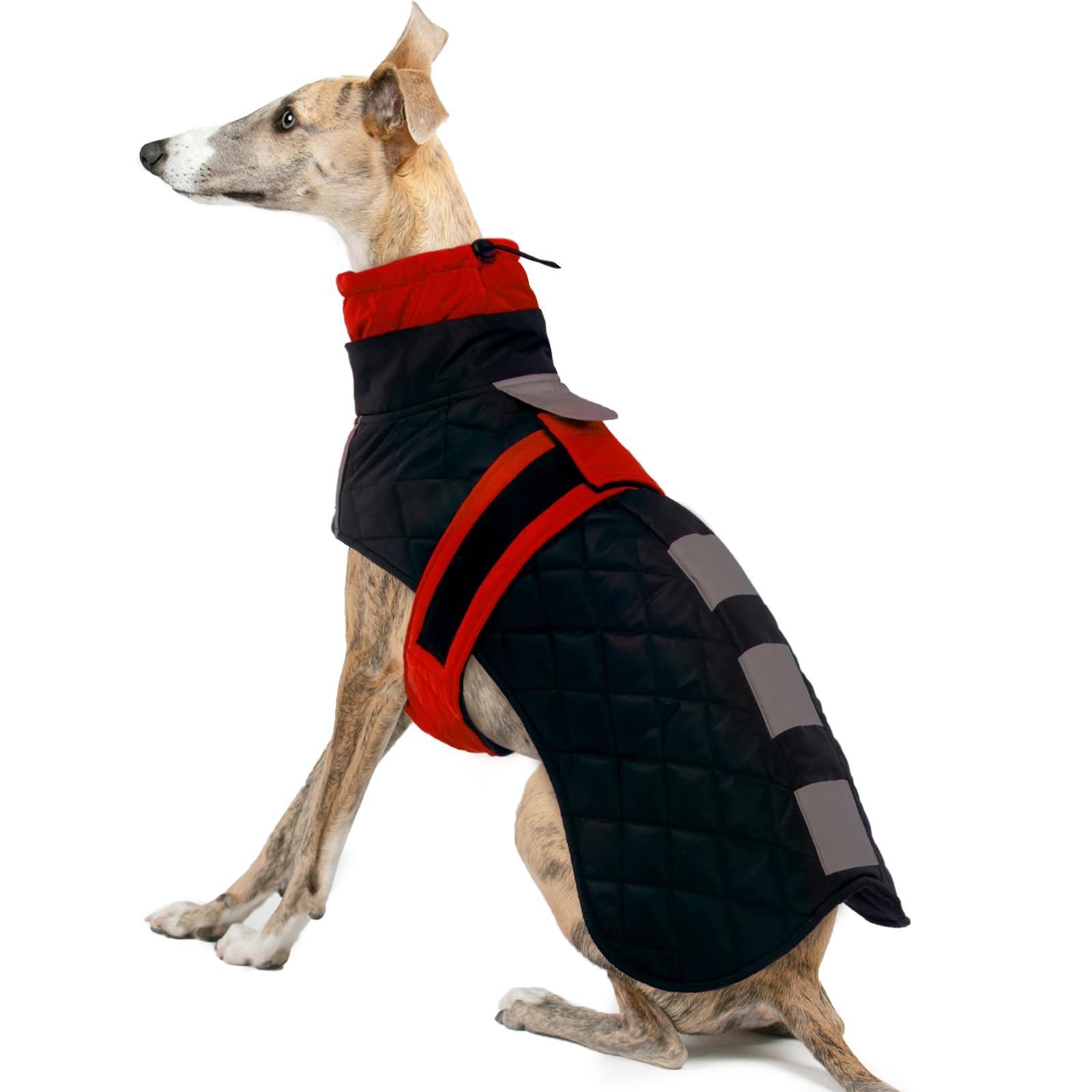 Greyhound Dog Coats For Large Dogs Winter WaterproofWhippets Dog