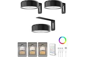 Homelist Picture Lights for Wall, 2200mAh Rechargeable Magnetic Poster Lights with Remote, 3 Color Temps & 12 RGB Modes, Dimm