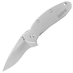Kershaw Scallion Pocket Knife (1620FL); 2.4 420HC