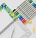Scraft Artise - (12) Count, Primary Color Markers, Double Ended with Fine and Brush Tip, Blendable, Non Toxic Water Based Ink for Adult Coloring, Journaling and Personalizing Your Day Planner