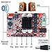 AUKUYEE Amplifier Board, 2 x 50, Red, (QY03)