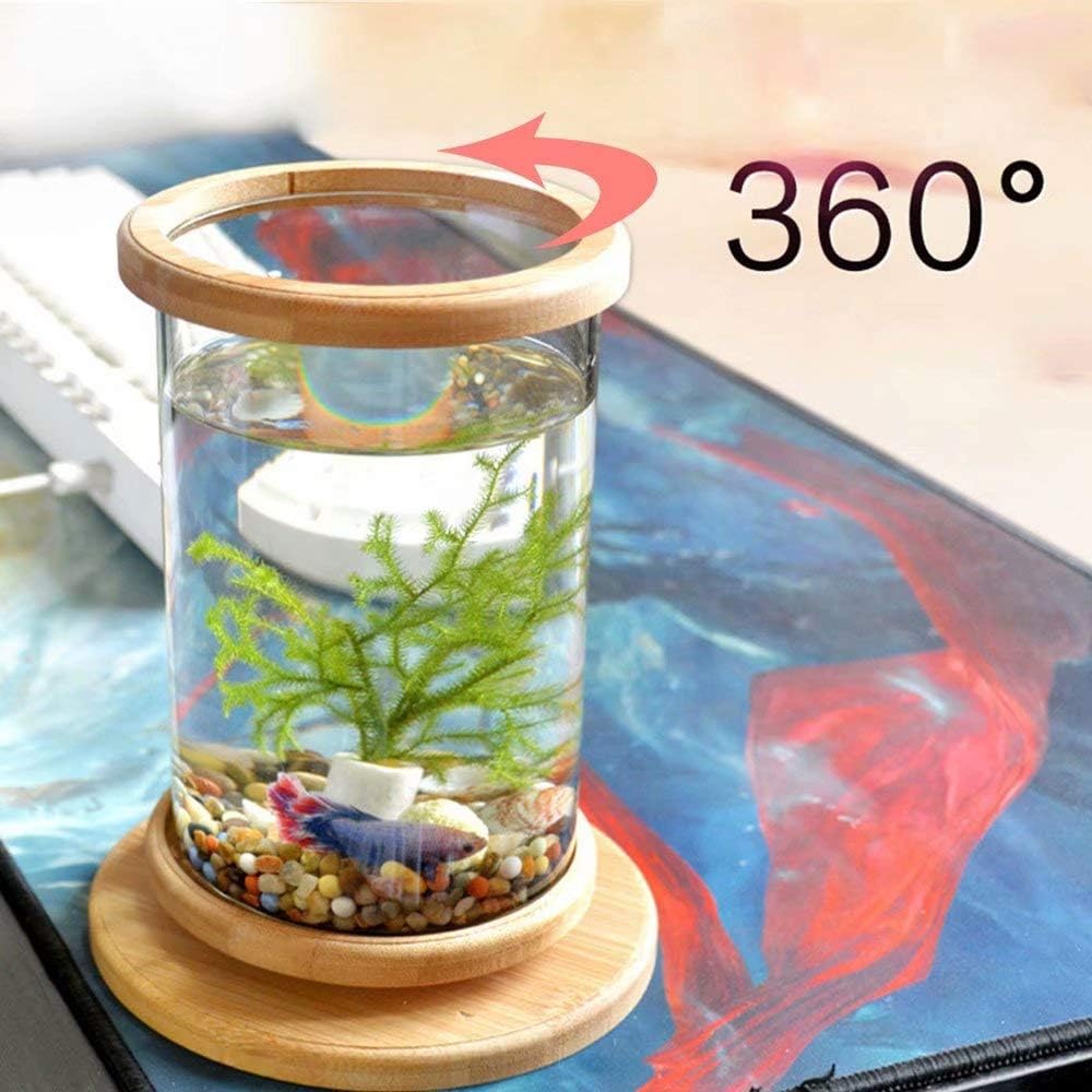 small fish tank in bedroom