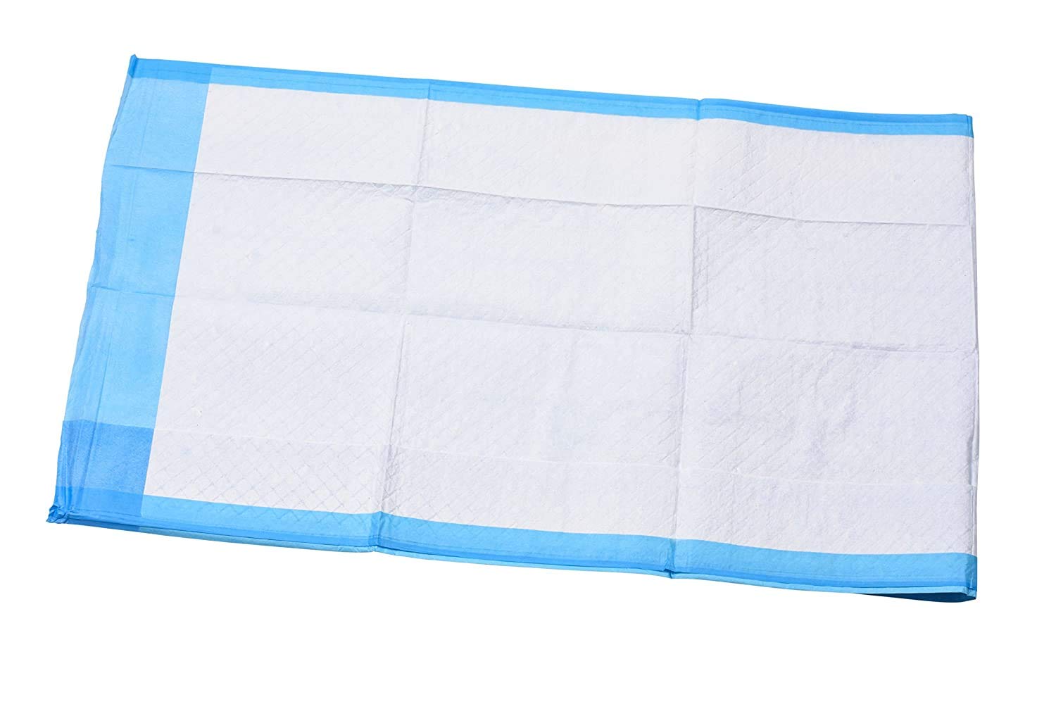 A WORLD OF DEALS INC2336R Disposable Blue Underpad 23 X 36, 150/Case: Industrial & Scientific