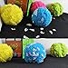 YOUDirect Interactive Dog Toy, Smart Rolling Ball Cat Toy for Kitten Puppy Pet, Magic Roller Ball Mini Robot Cleaner with 4 Covers for Indoor Dirt Dust Collecting