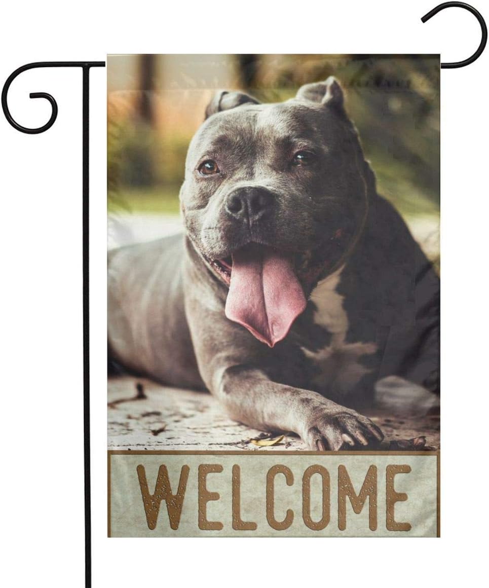 DZGlobal Pitbull Flag 12x18 American Pit Bull Garden Flag Welcome Pitbull House Flags Lovely Pet Dog Flag Double Sided Indoor & Outdoor Decorative Flags Small