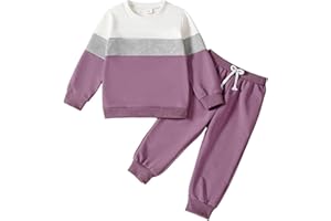 ADXSUN Toddler Girl Clothes Color Block Sweatshirt Top+Casual Pants 2 Piece Girl Fall Winter Outfits 2-7T