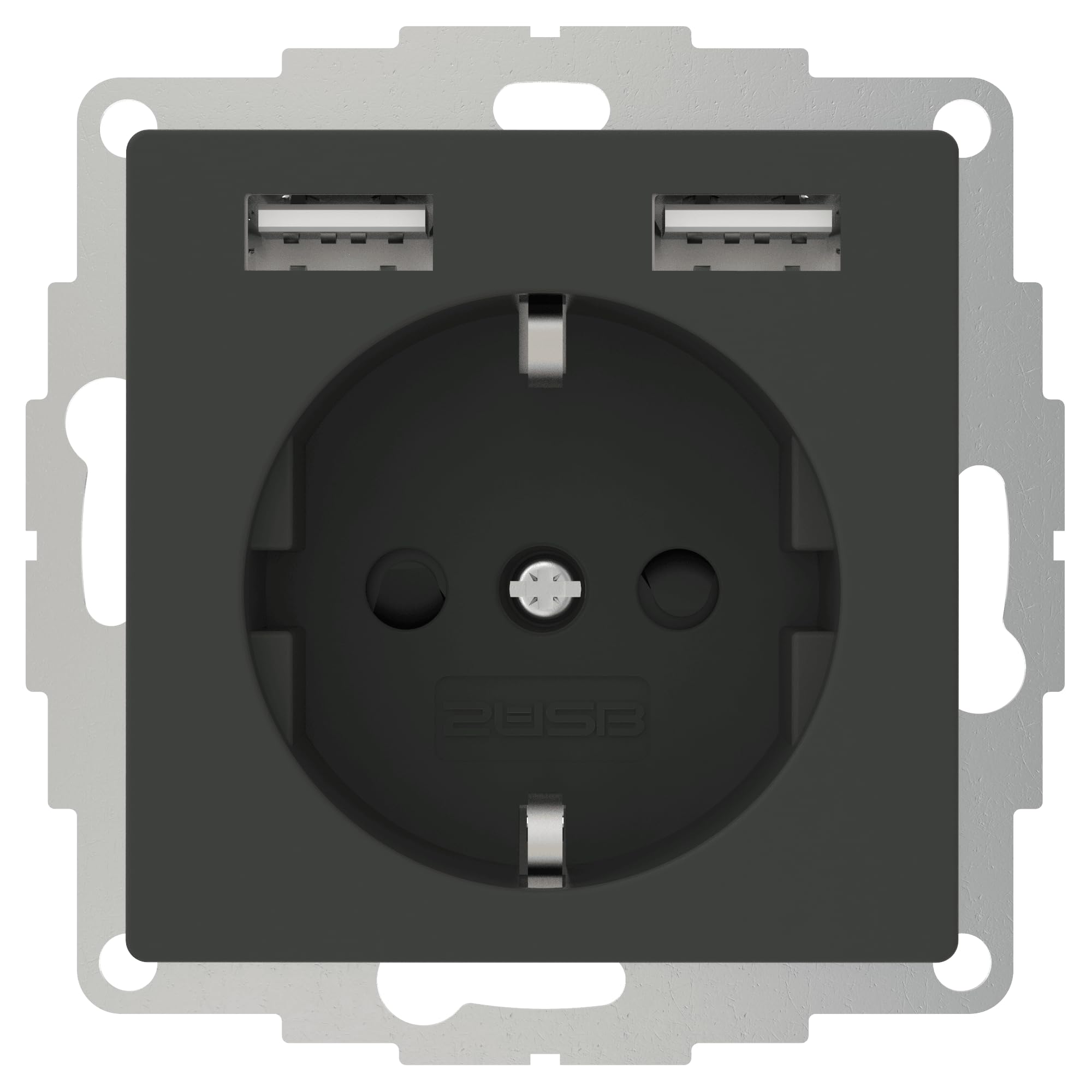 2USB inChargePRO USB AA Socket 12 W 2.4 A Anthracite