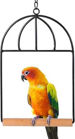 bird cage perches