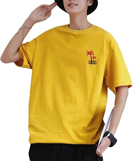 Amazon Shuming ｔシャツ メンズ 半袖 無地 カットソー ゆったり 夏服 トップス 柔らかい カジュアル ティーシャツ 柄 おしゃれ 白tシャツ 大きいサイズ Tシャツ カットソー 通販