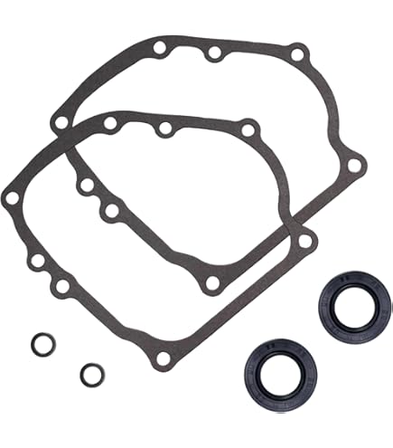 Amazon.com: JGMOTO Crankcase Gasket Oil Seal Kit for Honda GX160