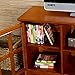 SEI Furniture Remington TV/Media Storage Television Stand, Oak