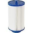 Pleatco PLAS35-EC Spa Filter Cartridge Replacement for Filbur: FC-0303, White