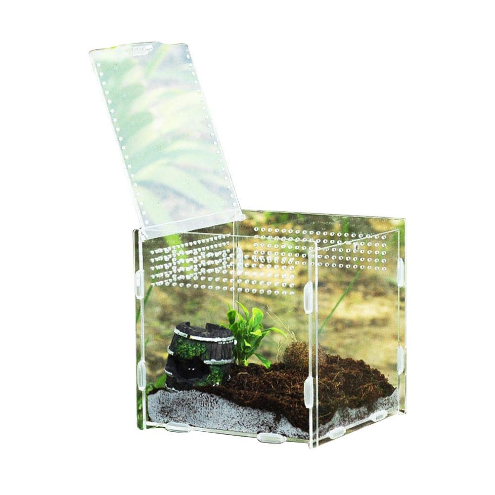 Buy RunkeU Transparent Reptile Insect Breeding Box/Acrylic Pet