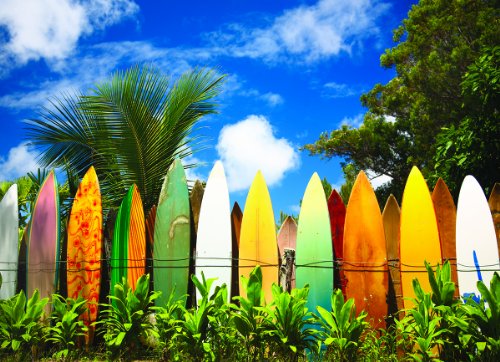 EuroGraphics Surfer's Paradise, Hawaii Puzzle (1000-Piece)