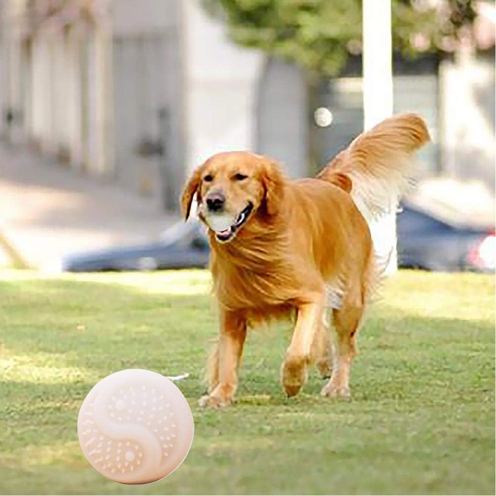 jumping ball for dog