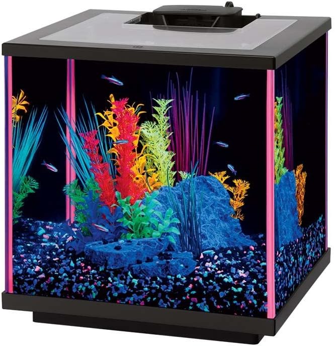 lamping lurchers for sale