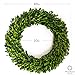 Olive Branch Home Preserved Boxwood Wreath With Gift Box, Large Indoor Year Round Green Wreath (20 Inch Round)