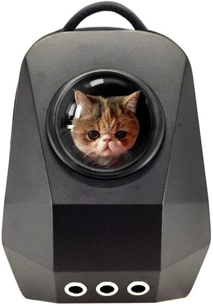 猫のおすすめキャリーバッグ１０選【使いやすくてお洒落なものをご紹介 