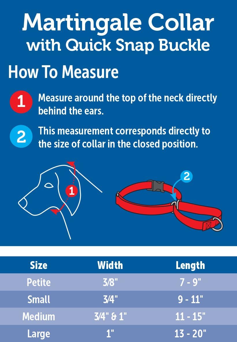 PetSafe Martingale Collar with Quick Snap Buckle, 1" Large, Red : Premier Martingale Collar : Pet Supplies