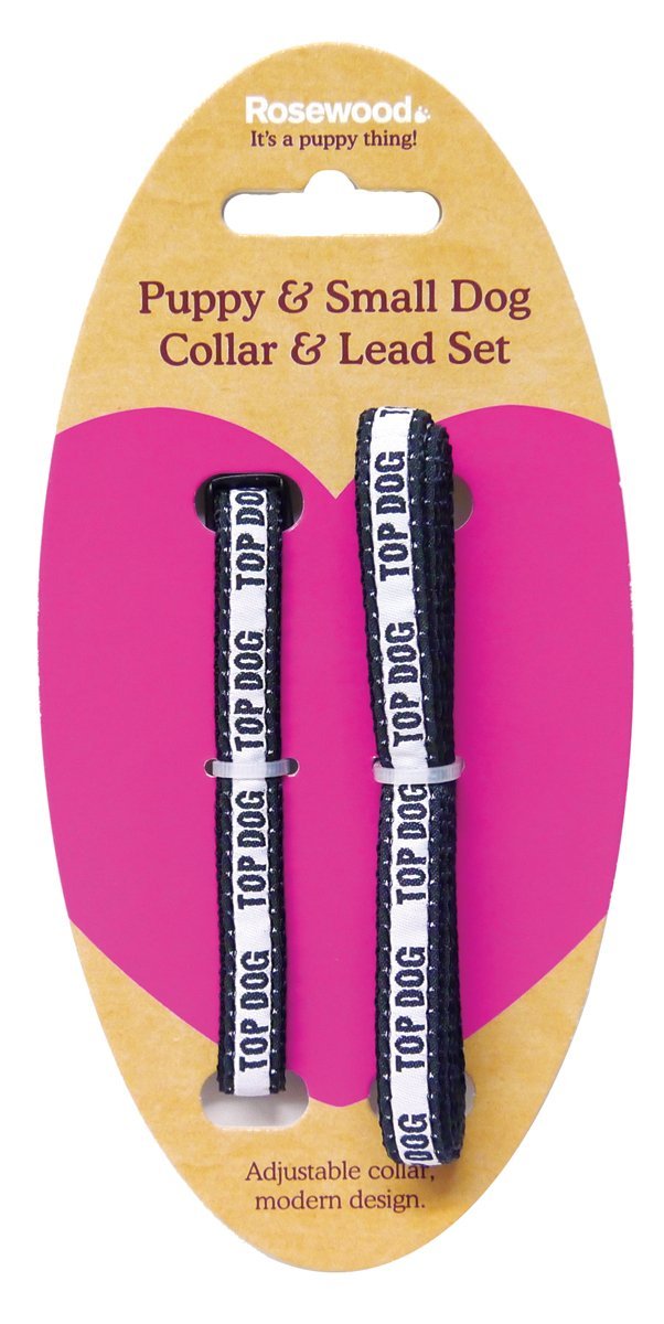 Rosewood Td Puppy Collar and Lead Set