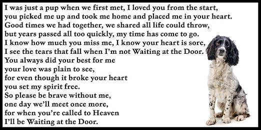 Diseño de perro de peluche duelo pérdida con inscripción memorial ...