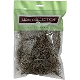 Quality Growers Spanish Moss, Preserved Moss, Natural, Small 1-Pack | Preserved Moss for Crafts, Home Decor, Art, Design &amp; DIY Projects, Non-Toxic, All Natural, Family Owned, USA Made