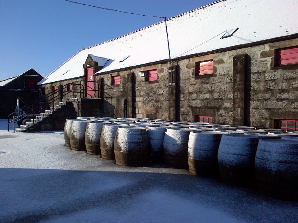 Ardmore 12 Jahre | Port Wood Finish Single Malt Whisky | mit Geschenkverpackung | 46% Vol | 700ml Einzelflasche 4