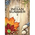 Stronghold Games Indian Summer Board Games